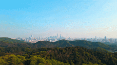 一面是剑指打制国际化CB